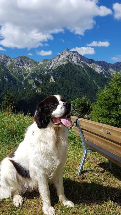 Hotel Des Alpes Foppolo Buitenkant foto